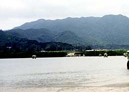 西表島