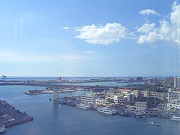 泊港