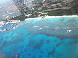ニチ浜の白い砂浜とクリームソーダ色の海