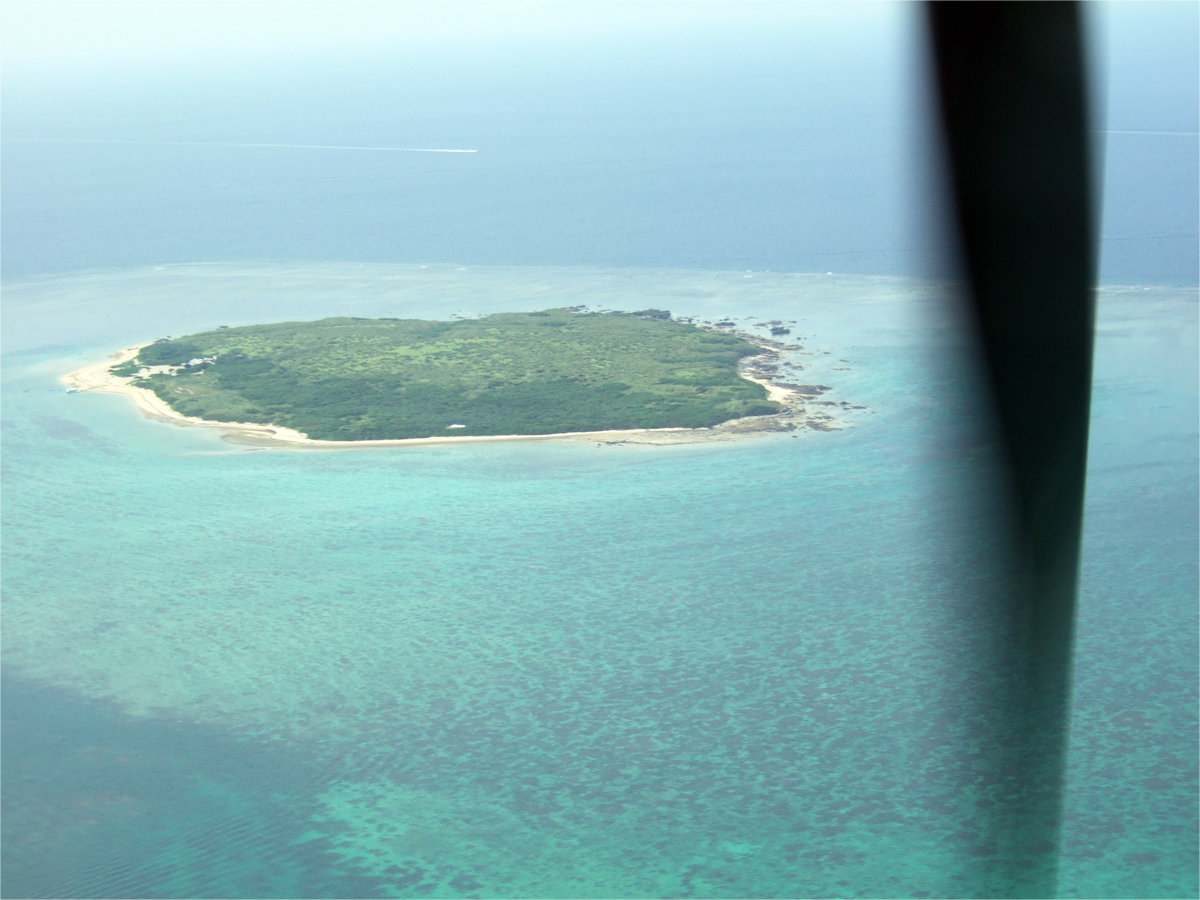 上空から見た嘉弥間島全景．左側が小浜島側
