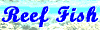 「Reef Fish」バナー